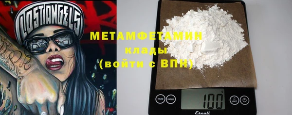 прущие грибы Верхний Тагил