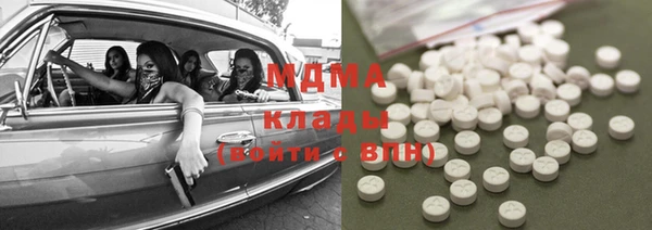 прущие грибы Верхний Тагил