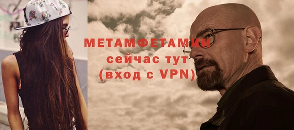 прущие грибы Верхний Тагил