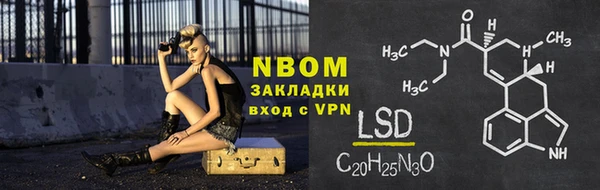 прущие грибы Верхний Тагил
