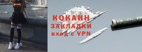 прущие грибы Верхний Тагил