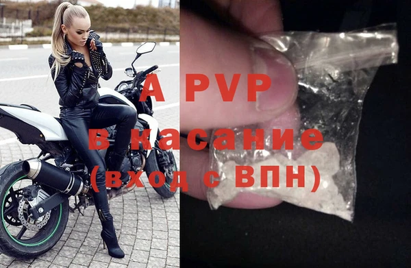 прущие грибы Верхний Тагил
