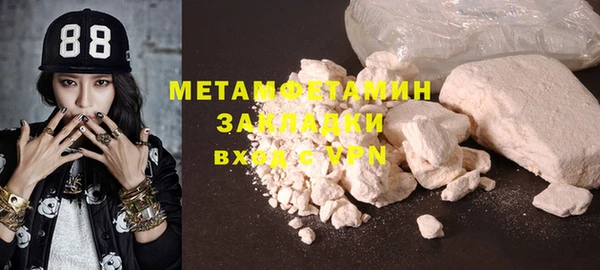 прущие грибы Верхний Тагил