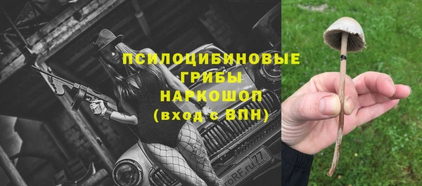 соль курить ск Верея