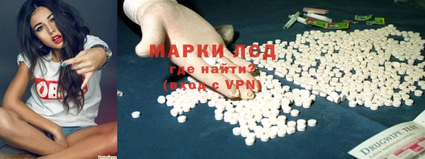 прущие грибы Верхний Тагил