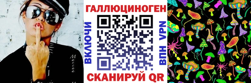Купить  Владивосток  Псилоцибиновые грибы Cubensis 